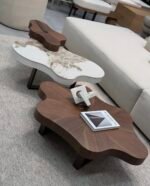 סט שולחנות סלון מודרניים בעיצוב אמורפי