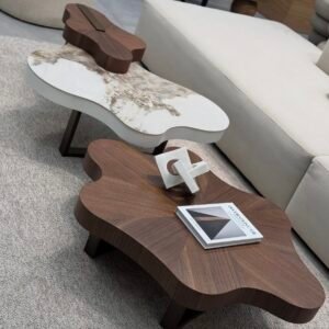 סט שולחנות סלון מודרניים בעיצוב אמורפי