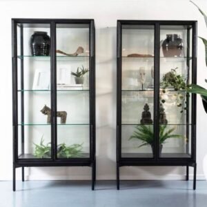 וטרינה דגם יולי